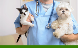 Veterinary Clinics.png